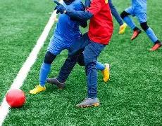 娱乐圈明星,的狂热粉丝,揭秘追逐偶,OD,Sports,OD体育,体育直播,体育赛事,APP下载,官方网地址