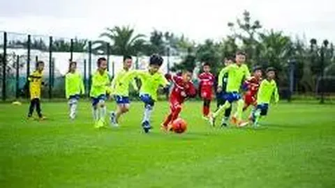 “首届长三角体育文化交流活动走进校园，冠军助力校园体育盛事”